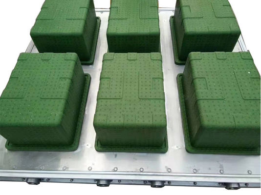 Прессформа EPS коробки рыб ISO9001 для упаковки овоща свежих фруктов